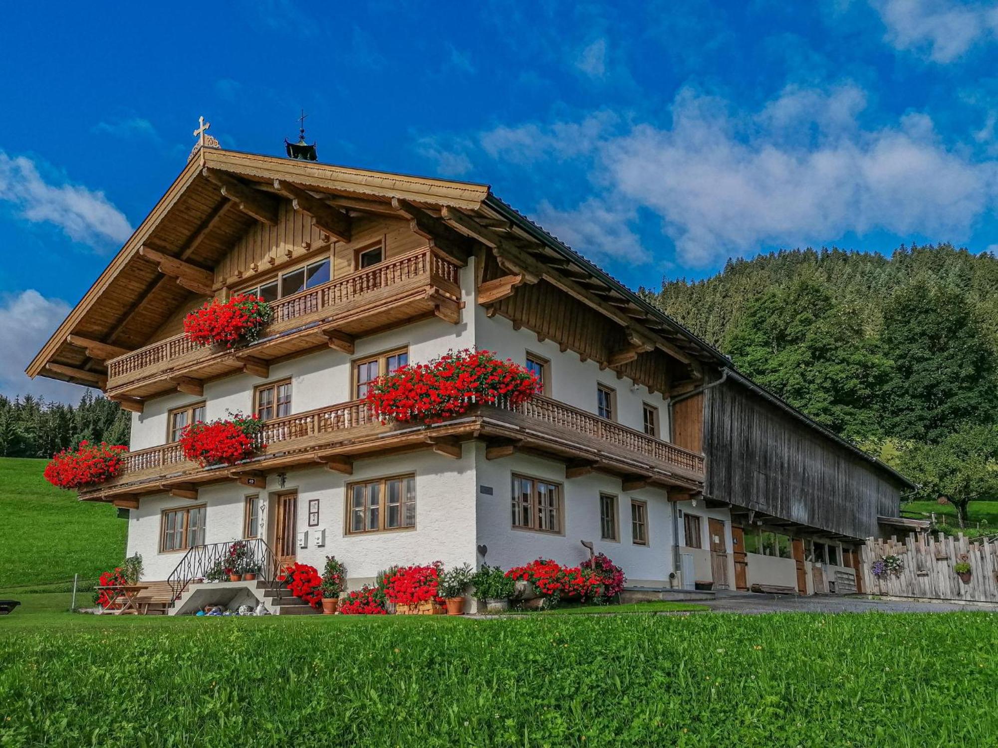 Flicklhof Xl Apartment Hopfgarten im Brixental Exterior photo